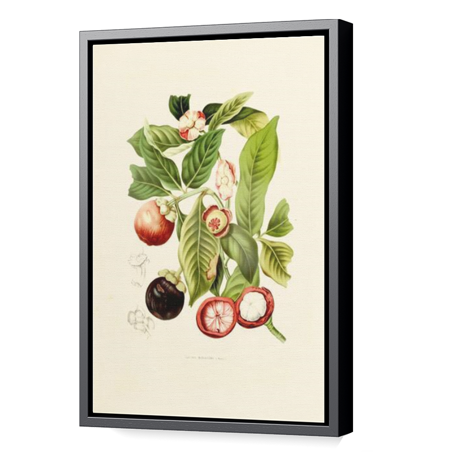 Thumbnail for Canvas - Black Floating Frame