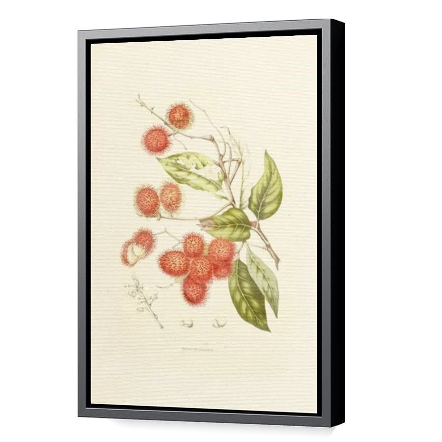 Thumbnail for Canvas - Black Floating Frame
