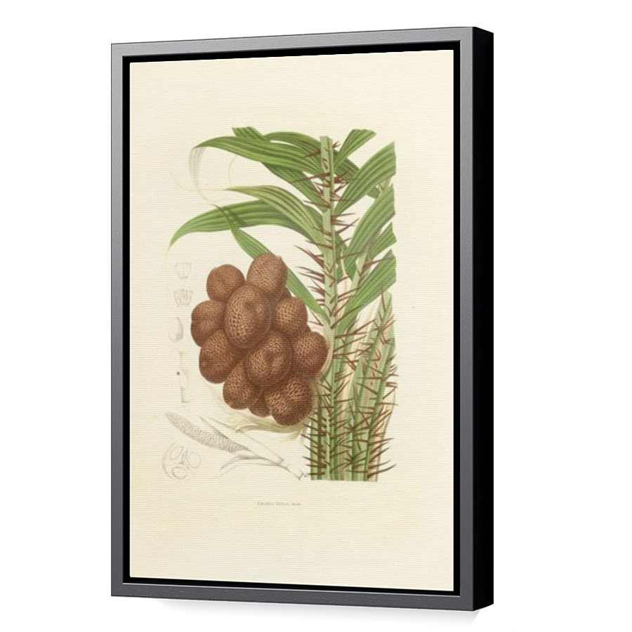 Thumbnail for Canvas - Black Floating Frame