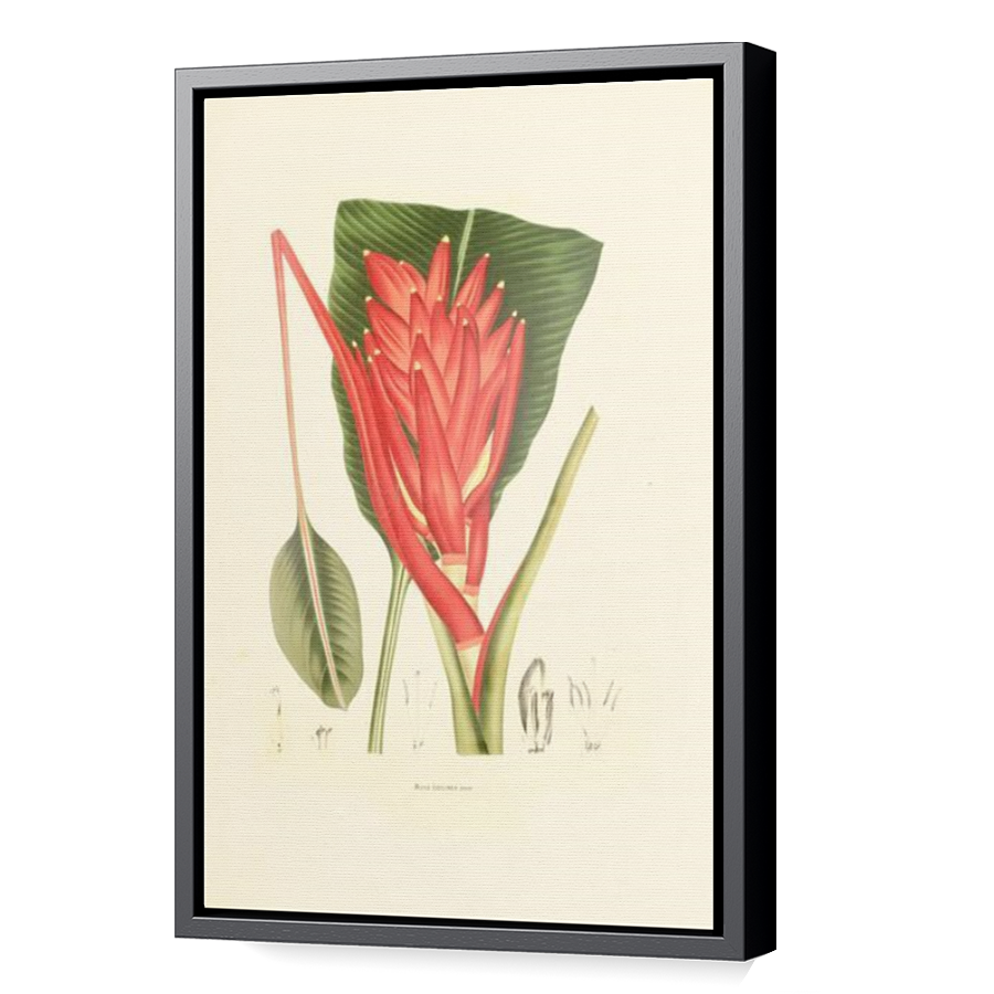 Thumbnail for Canvas - Black Floating Frame