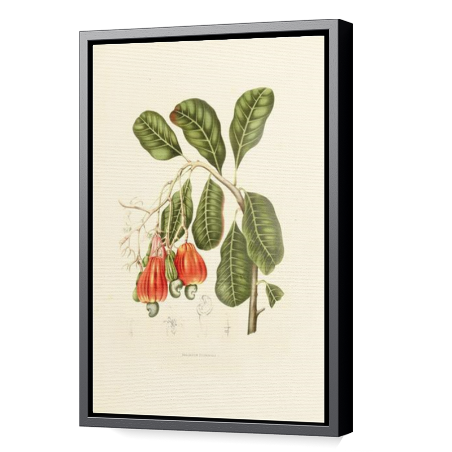 Thumbnail for Canvas - Black Floating Frame