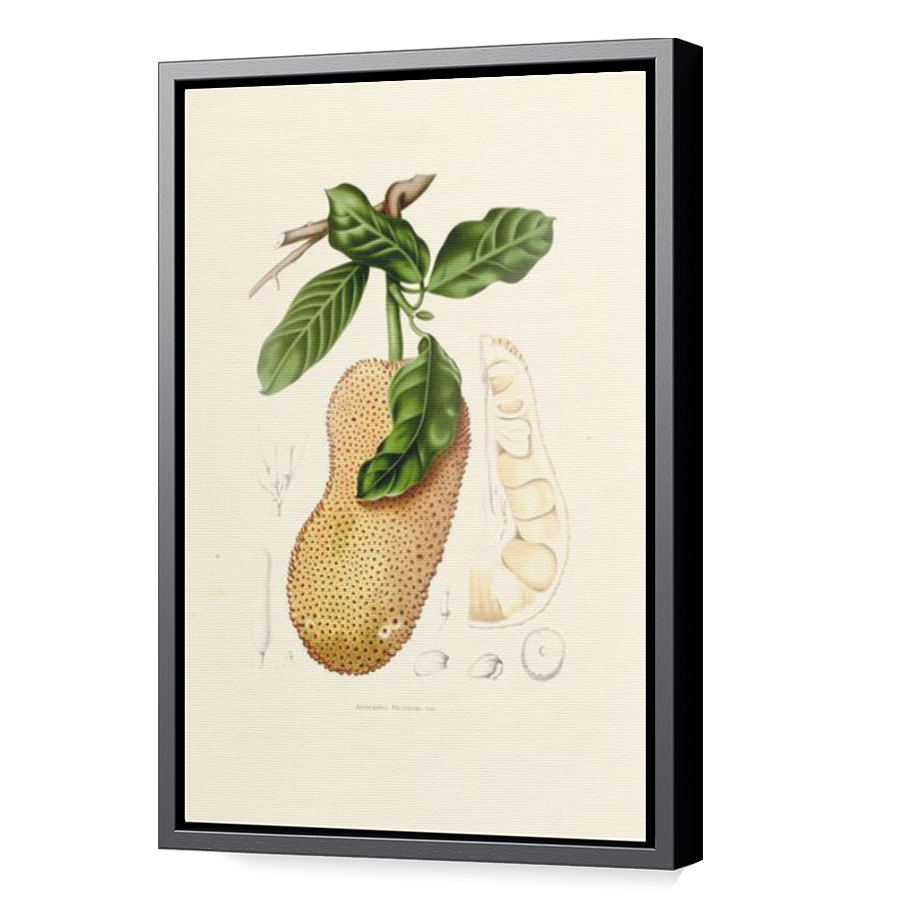 Thumbnail for Canvas - Black Floating Frame