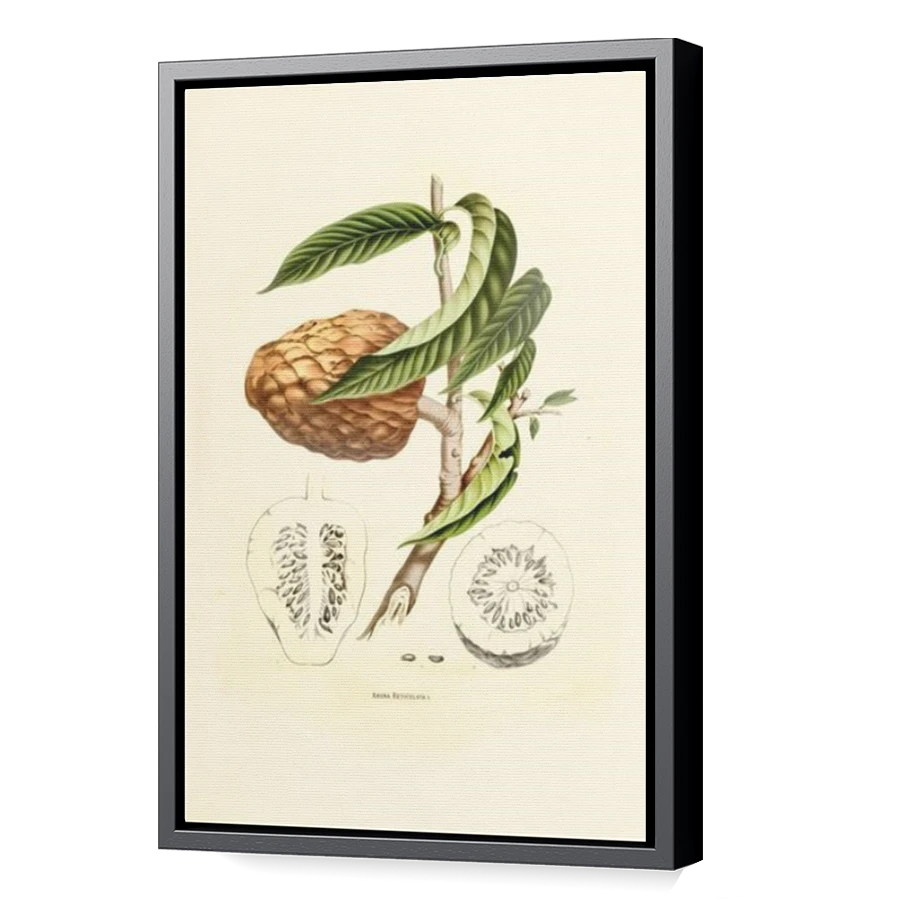 Thumbnail for Canvas - Black Floating Frame