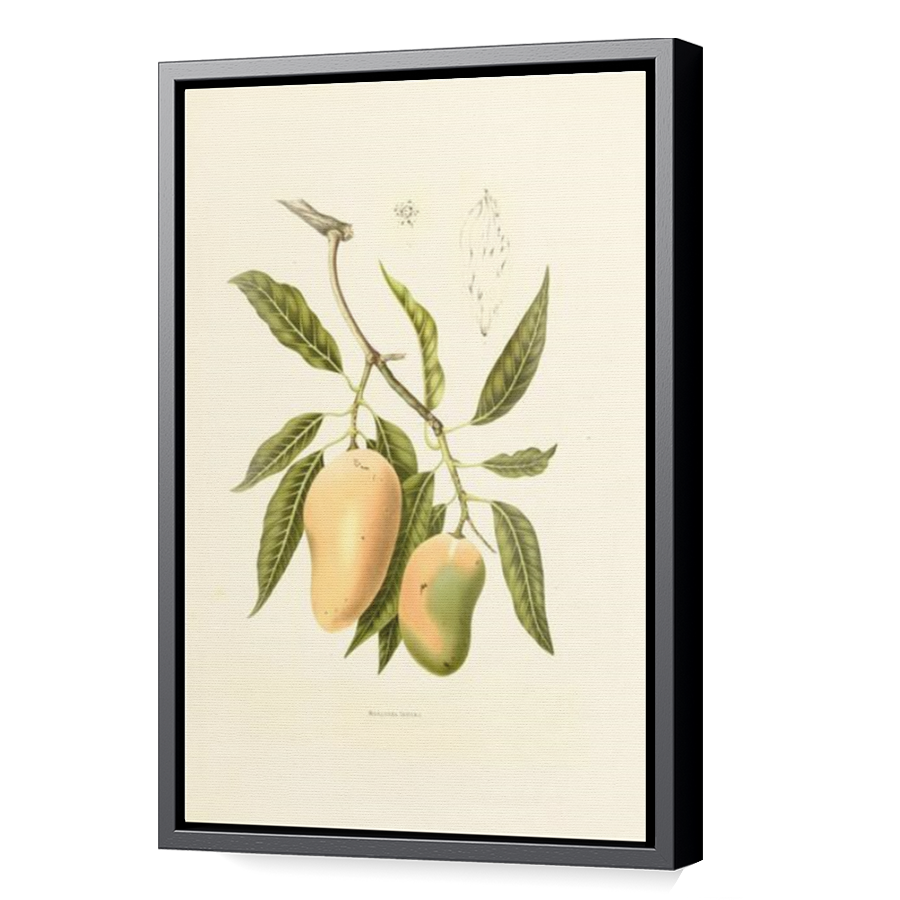 Thumbnail for Canvas - Black Floating Frame