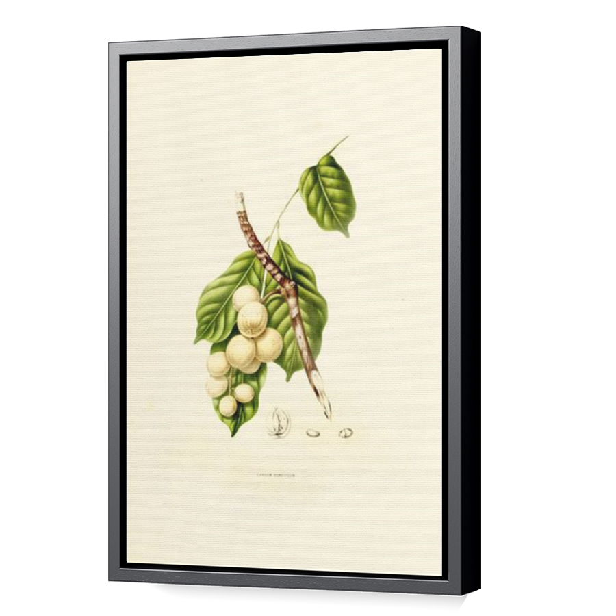 Thumbnail for Canvas - Black Floating Frame
