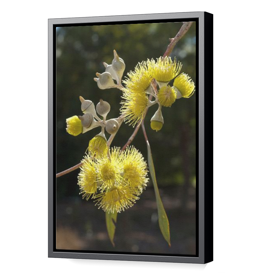 Thumbnail for Canvas - Black Floating Frame