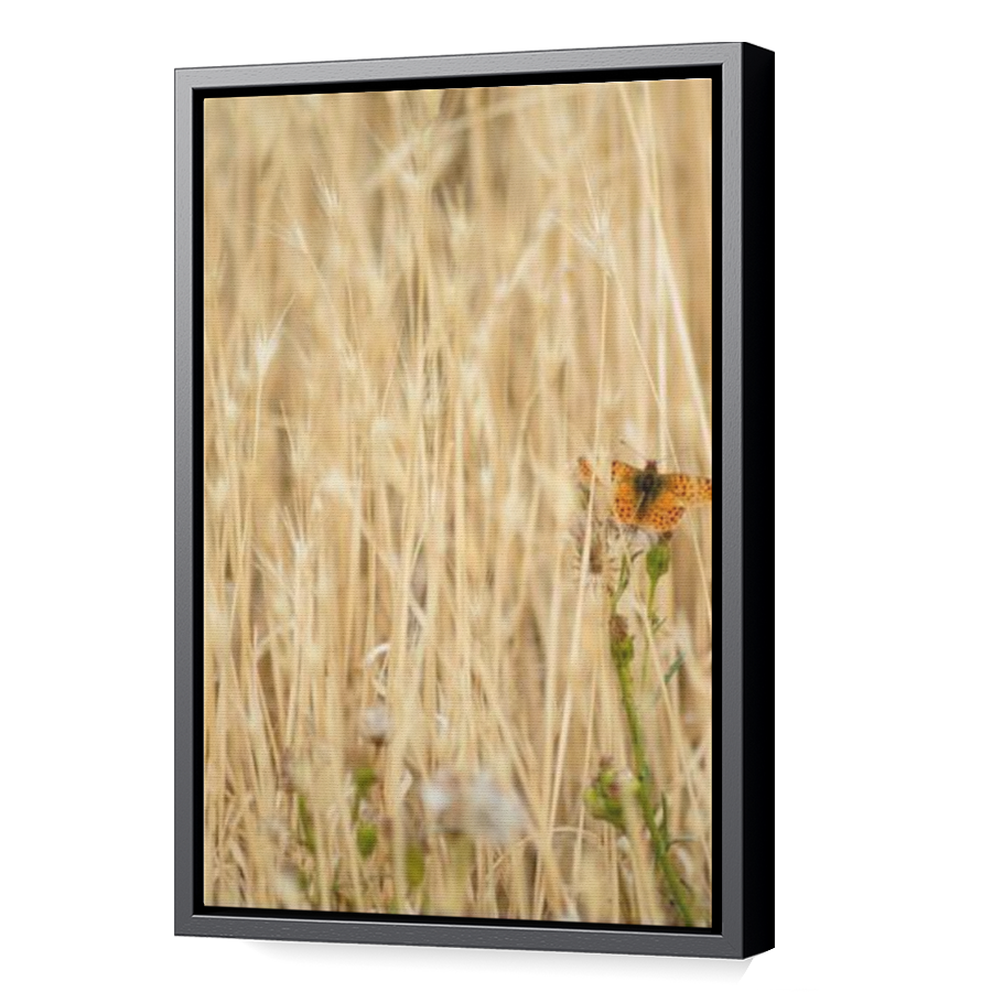 Thumbnail for Canvas - Black Floating Frame