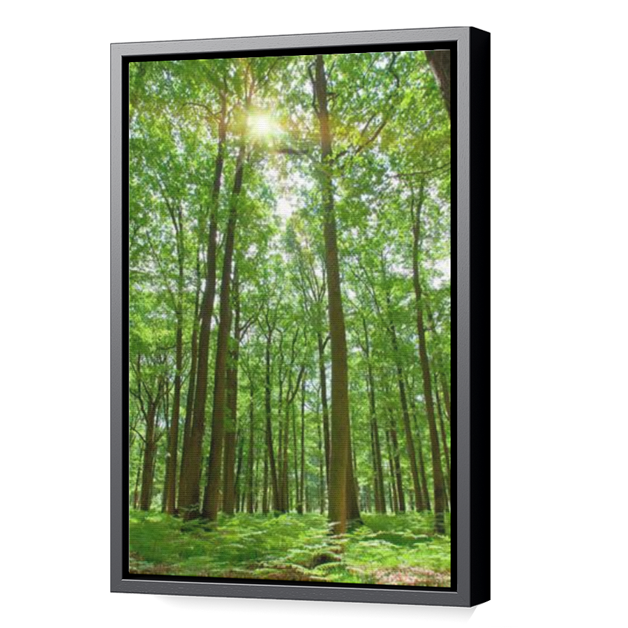 Thumbnail for Canvas - Black Floating Frame