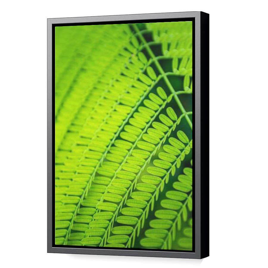 Thumbnail for Canvas - Black Floating Frame
