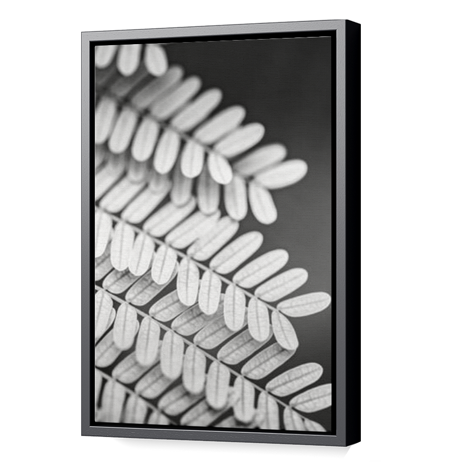 Thumbnail for Canvas - Black Floating Frame