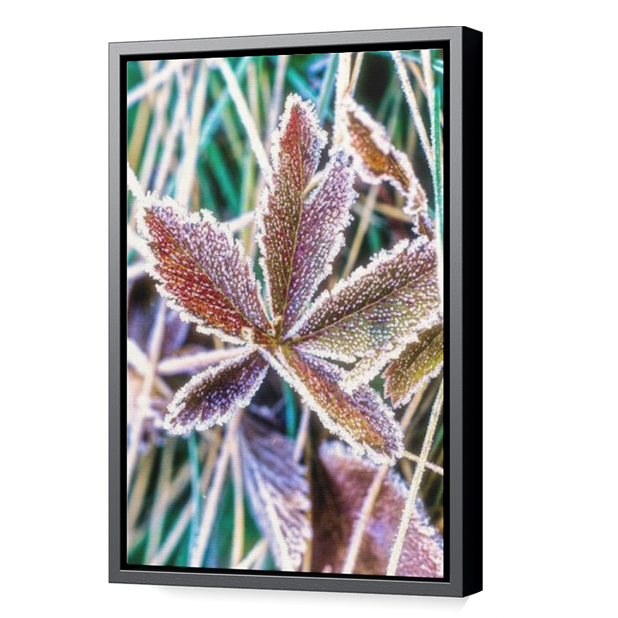 Thumbnail for Canvas - Black Floating Frame