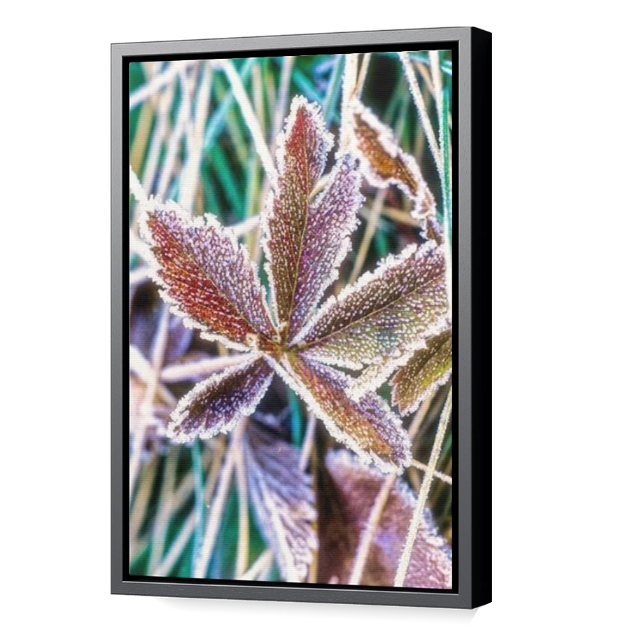 Thumbnail for Canvas - Black Floating Frame