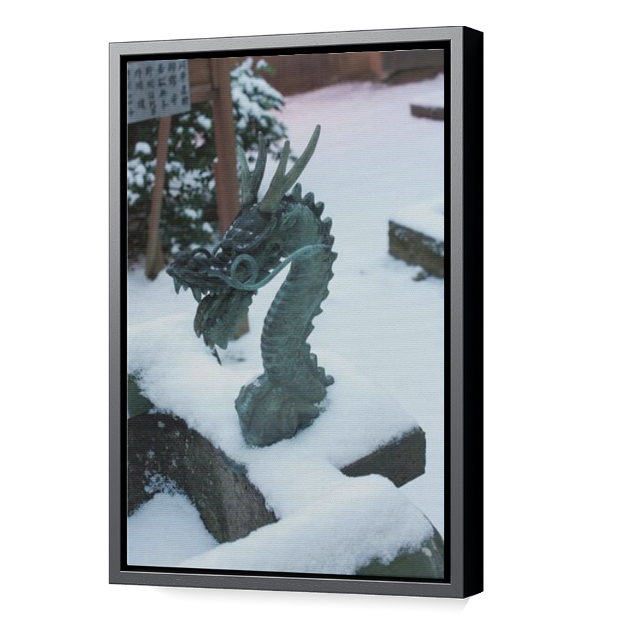 Thumbnail for Canvas - Black Floating Frame