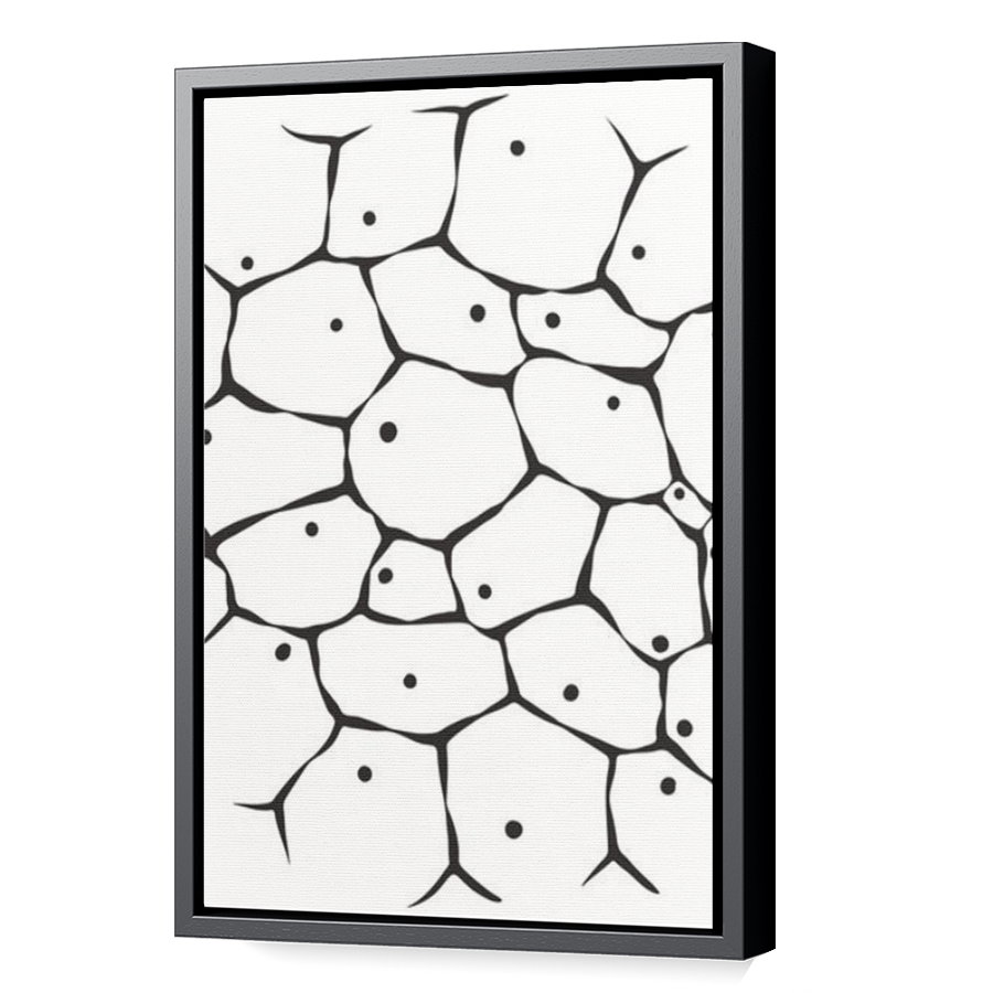 Thumbnail for Canvas - Black Floating Frame