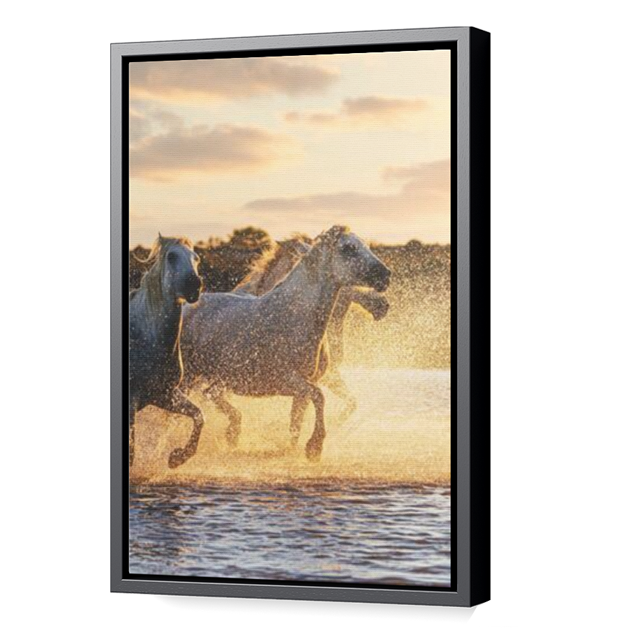 Thumbnail for Canvas - Black Floating Frame
