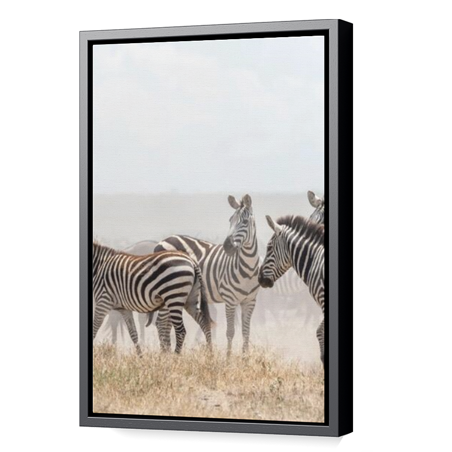 Thumbnail for Canvas - Black Floating Frame