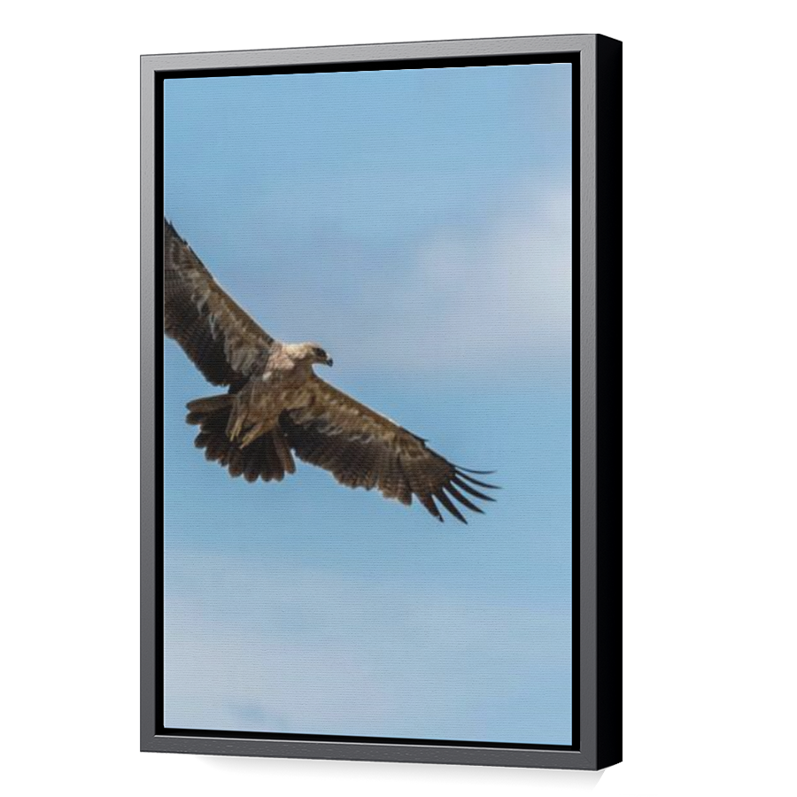 Thumbnail for Canvas - Black Floating Frame