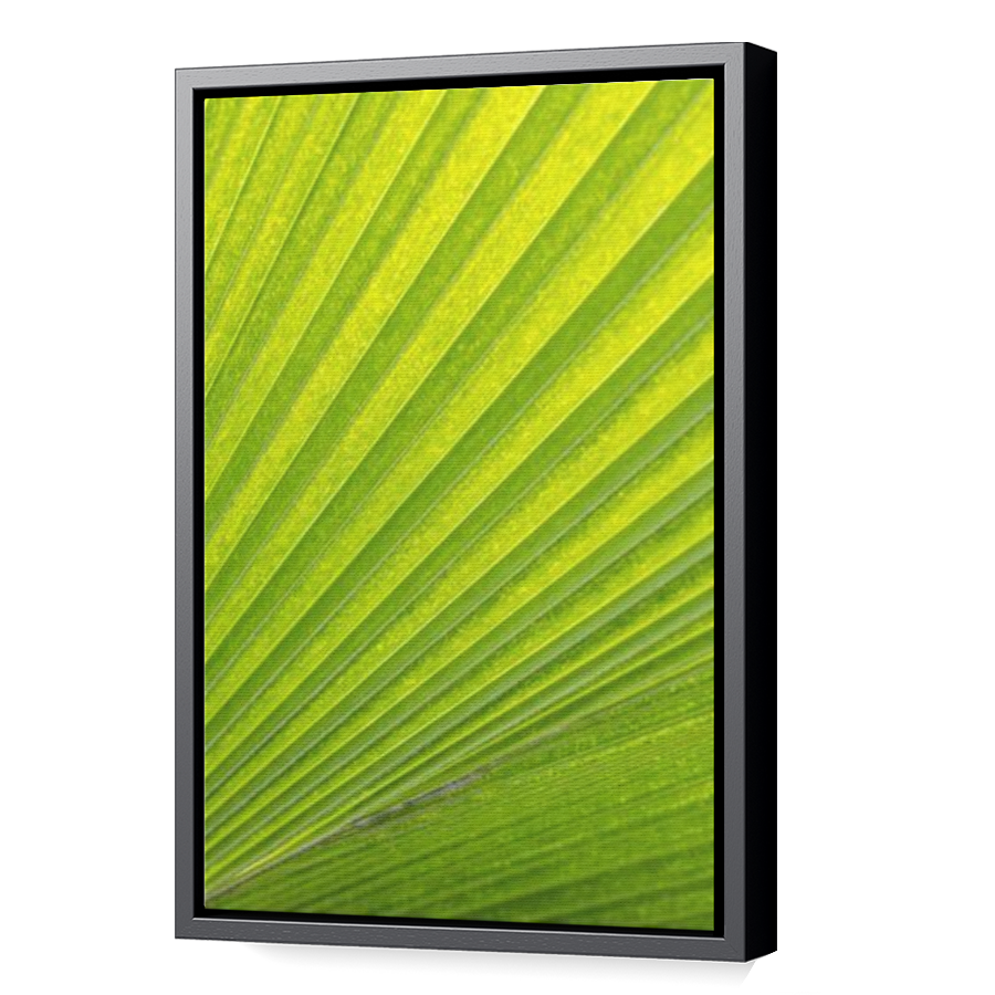Thumbnail for Canvas - Black Floating Frame