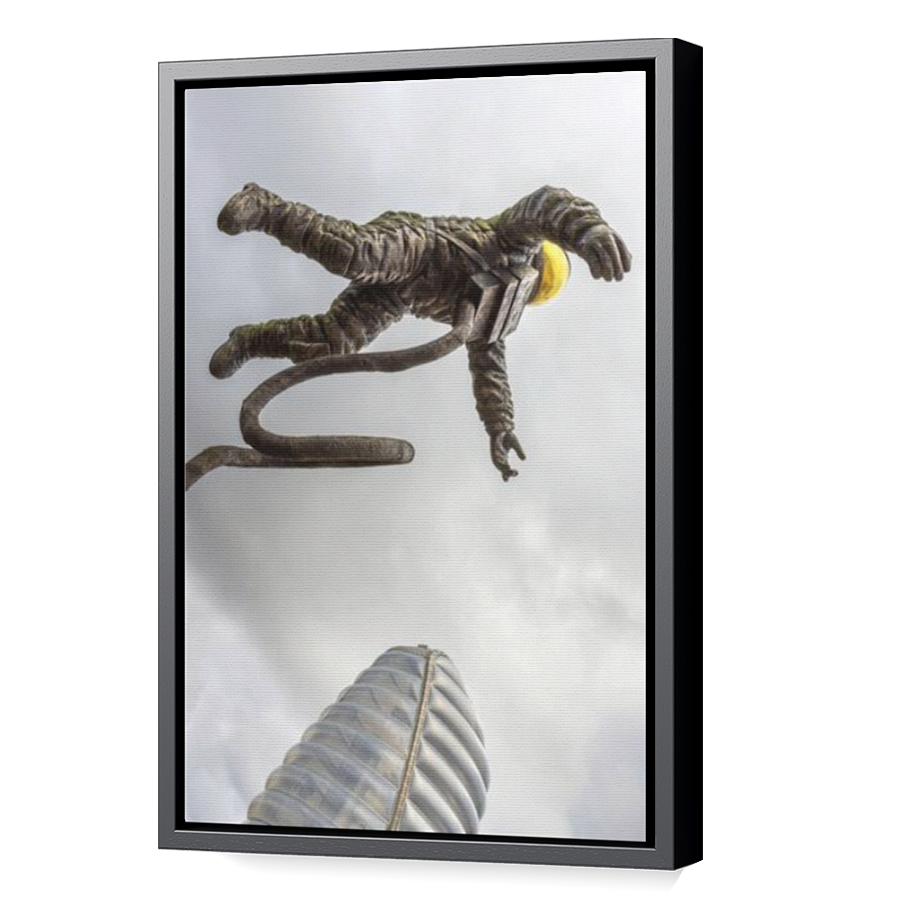 Thumbnail for Canvas - Black Floating Frame