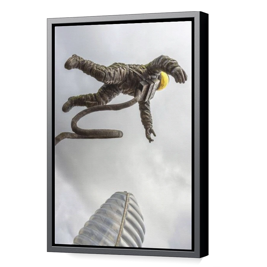 Thumbnail for Canvas - Black Floating Frame