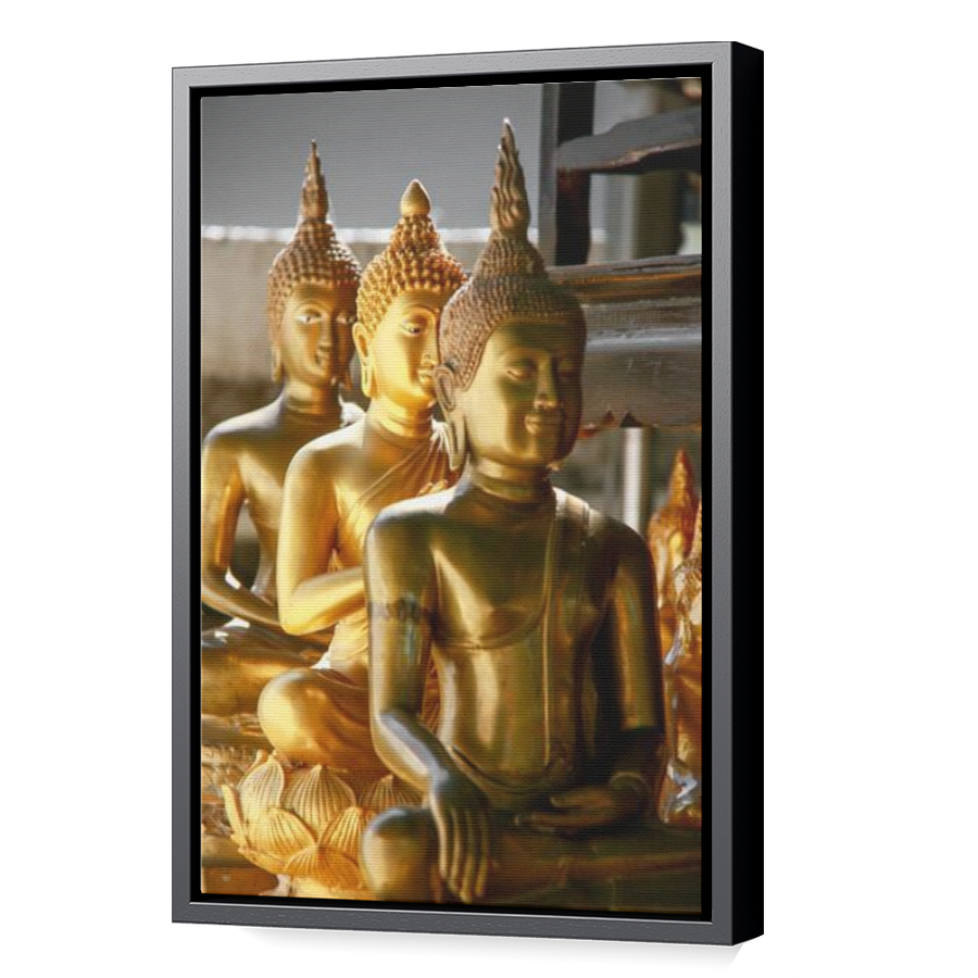 Thumbnail for Canvas - Black Floating Frame