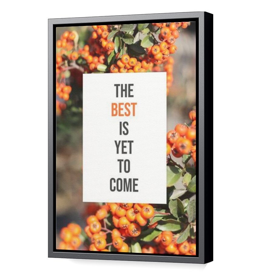 Thumbnail for Canvas - Black Floating Frame