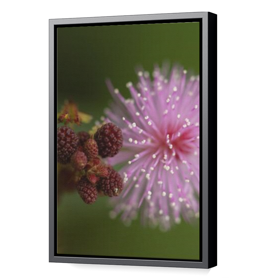 Thumbnail for Canvas - Black Floating Frame