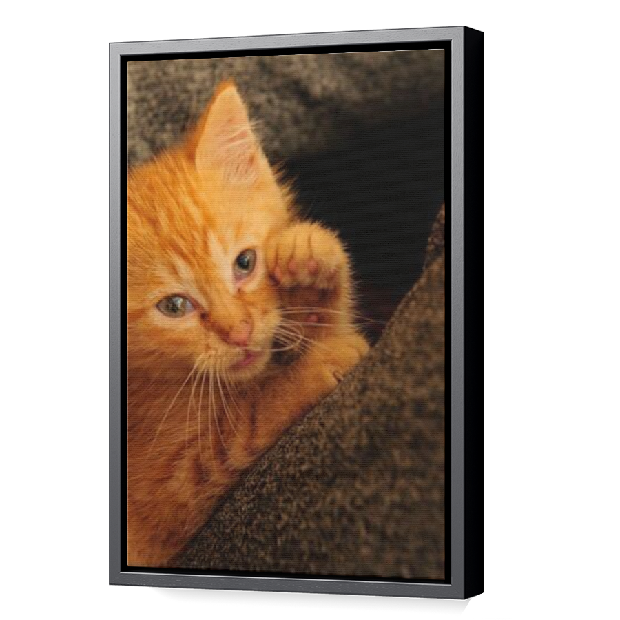Thumbnail for Canvas - Black Floating Frame