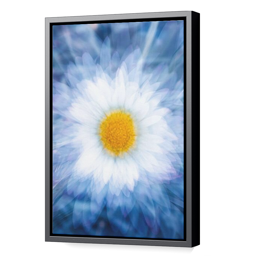Thumbnail for Canvas - Black Floating Frame