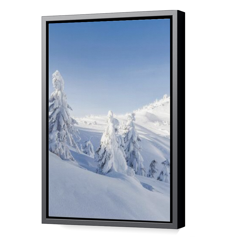 Thumbnail for Canvas - Black Floating Frame