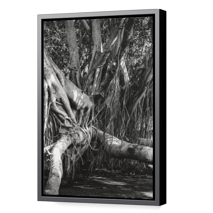 Thumbnail for Canvas - Black Floating Frame