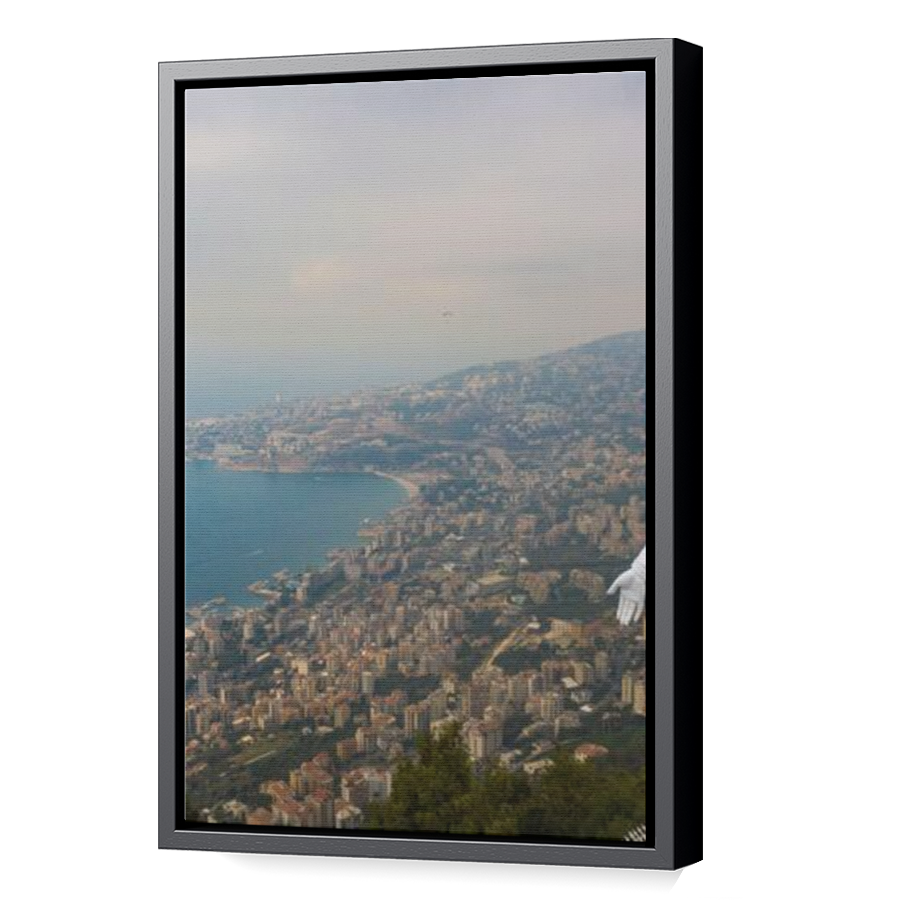 Thumbnail for Canvas - Black Floating Frame