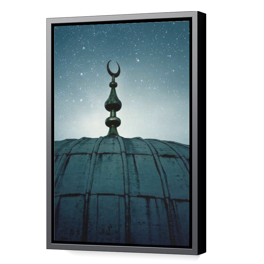 Thumbnail for Canvas - Black Floating Frame