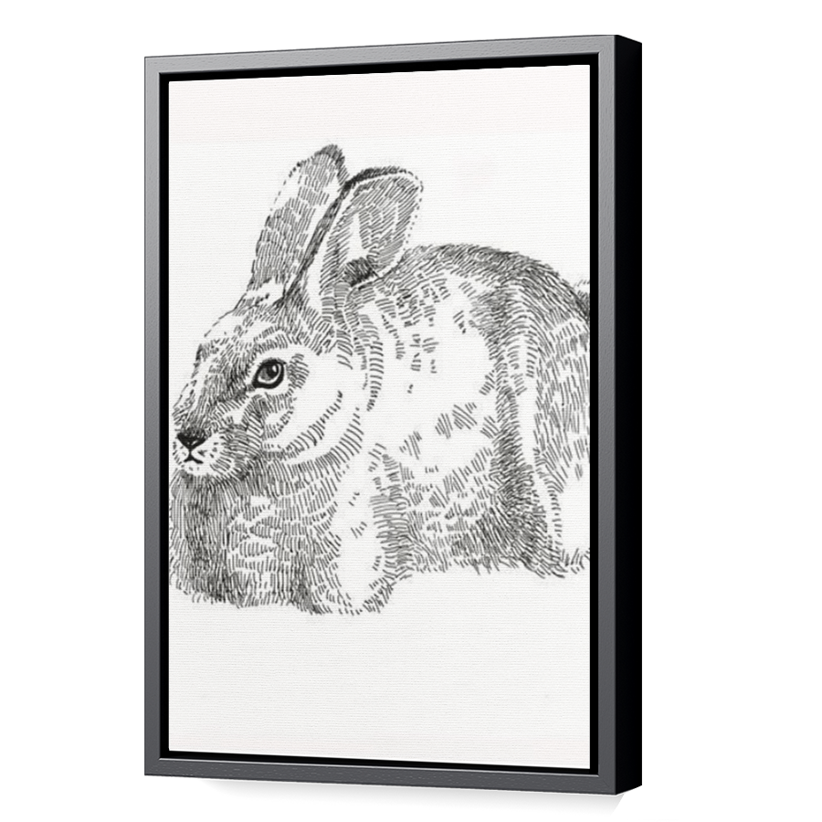 Thumbnail for Canvas - Black Floating Frame
