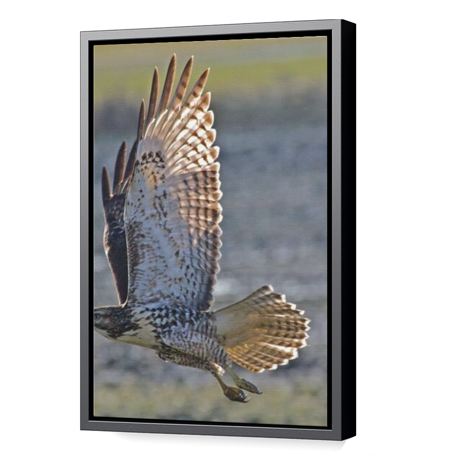 Thumbnail for Canvas - Black Floating Frame