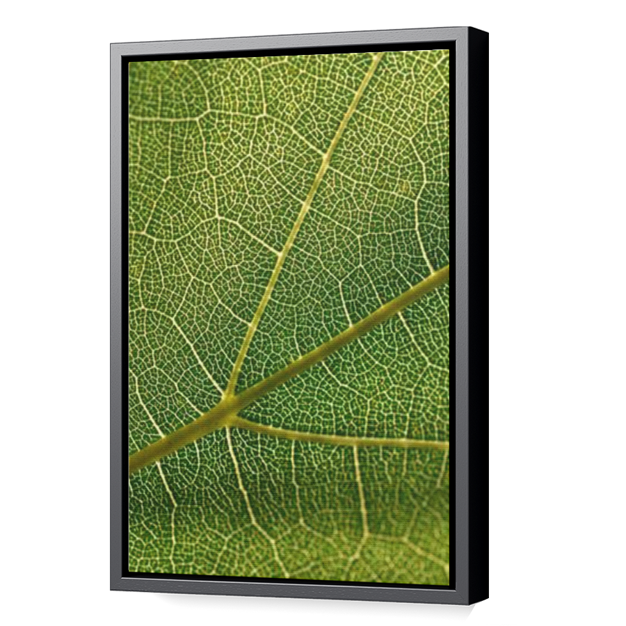 Thumbnail for Canvas - Black Floating Frame