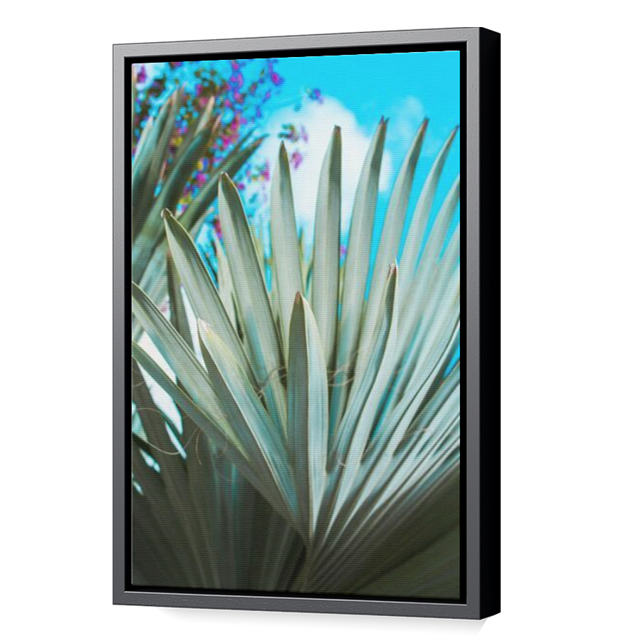 Thumbnail for Canvas - Black Floating Frame