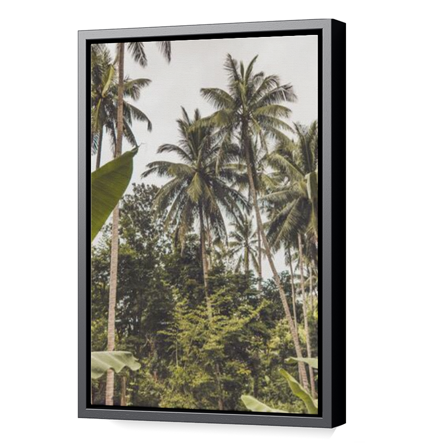 Thumbnail for Canvas - Black Floating Frame