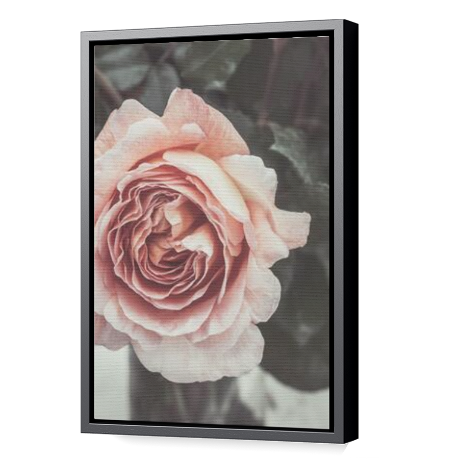 Thumbnail for Canvas - Black Floating Frame