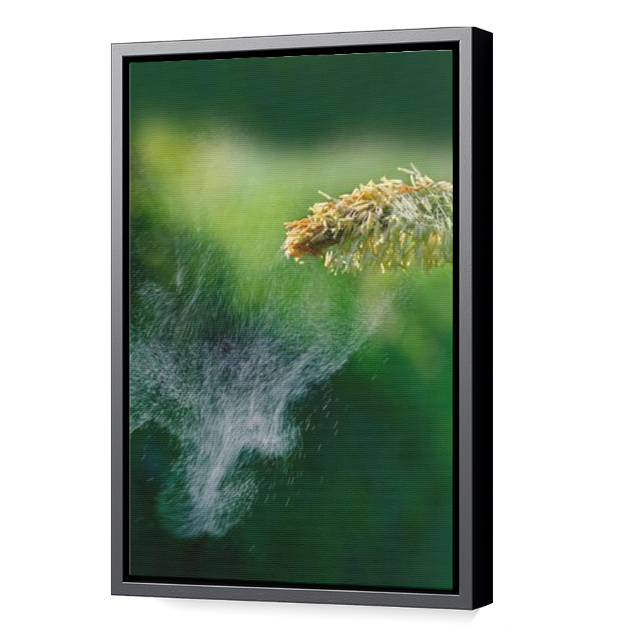 Thumbnail for Canvas - Black Floating Frame