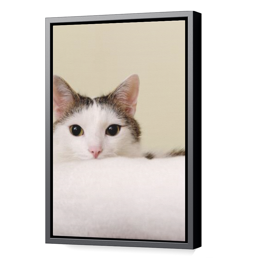 Thumbnail for Canvas - Black Floating Frame
