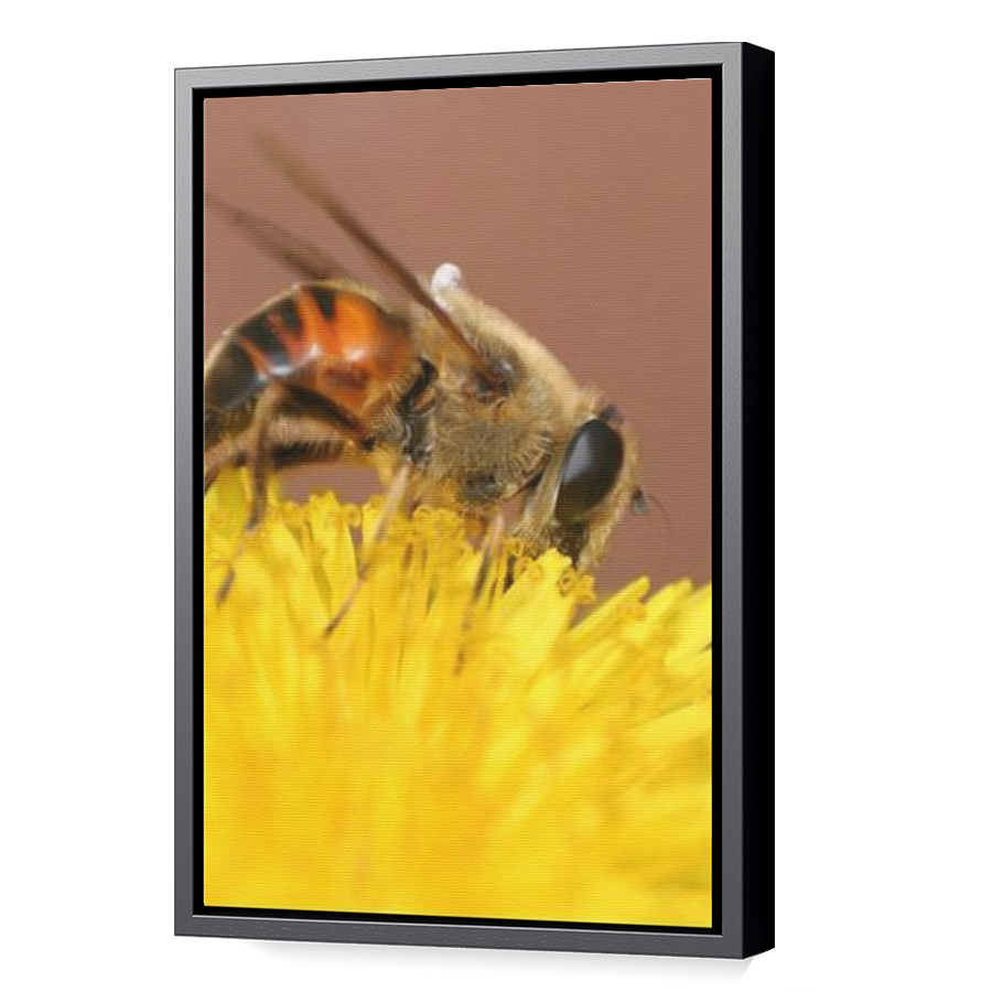 Thumbnail for Canvas - Black Floating Frame