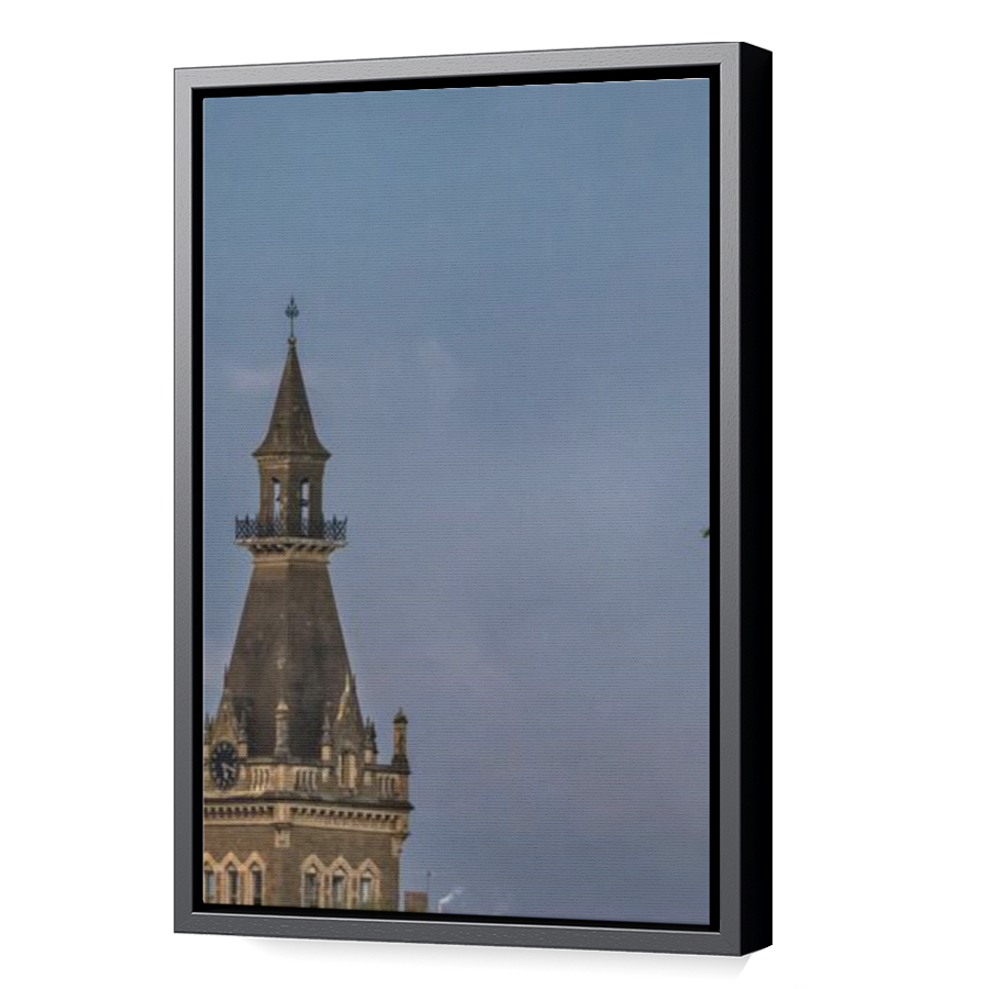 Thumbnail for Canvas - Black Floating Frame