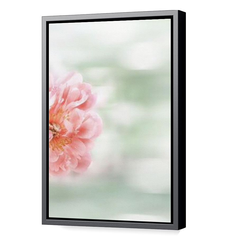 Thumbnail for Canvas - Black Floating Frame