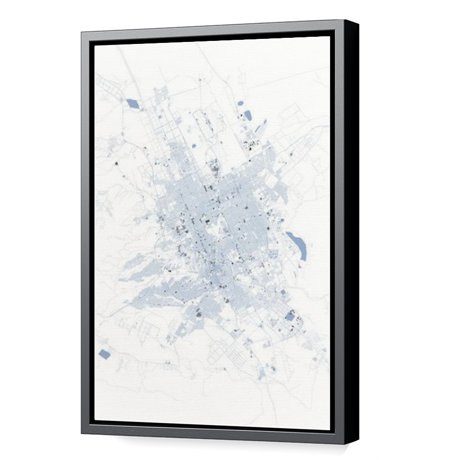 Thumbnail for Canvas - Black Floating Frame