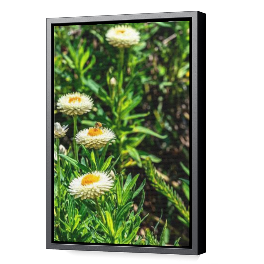 Thumbnail for Canvas - Black Floating Frame