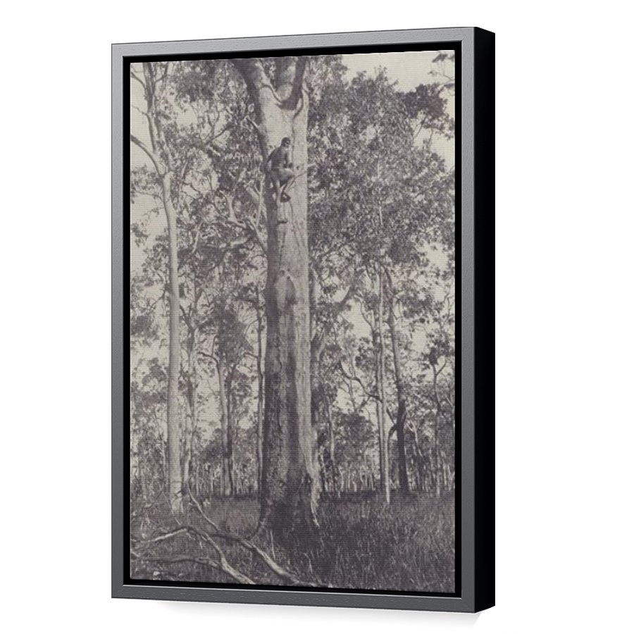 Thumbnail for Canvas - Black Floating Frame