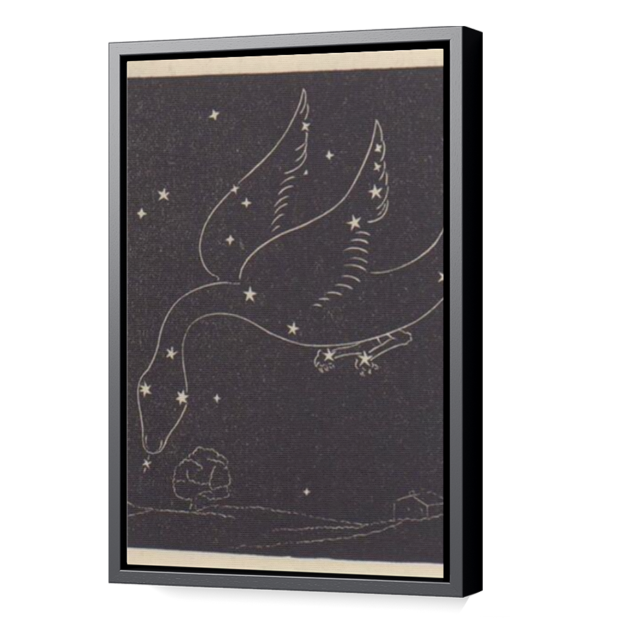 Thumbnail for Canvas - Black Floating Frame