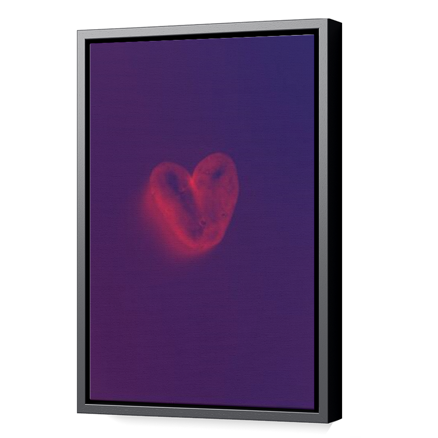 Thumbnail for Canvas - Black Floating Frame