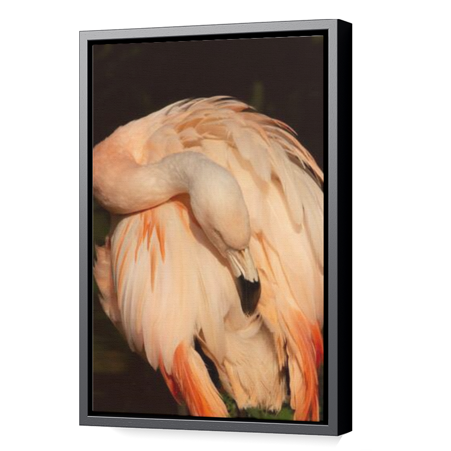 Thumbnail for Canvas - Black Floating Frame